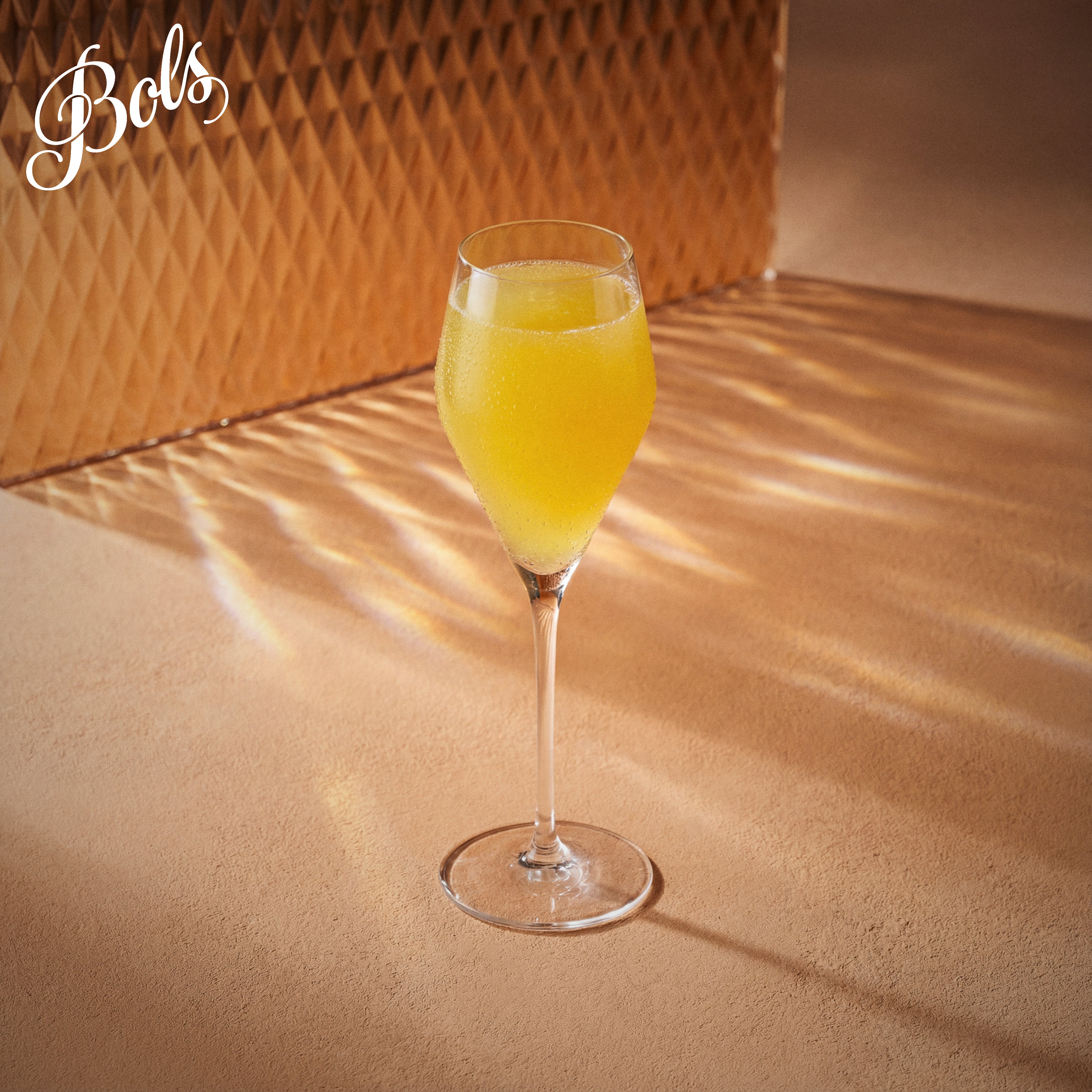 Bols Peach Schnapps