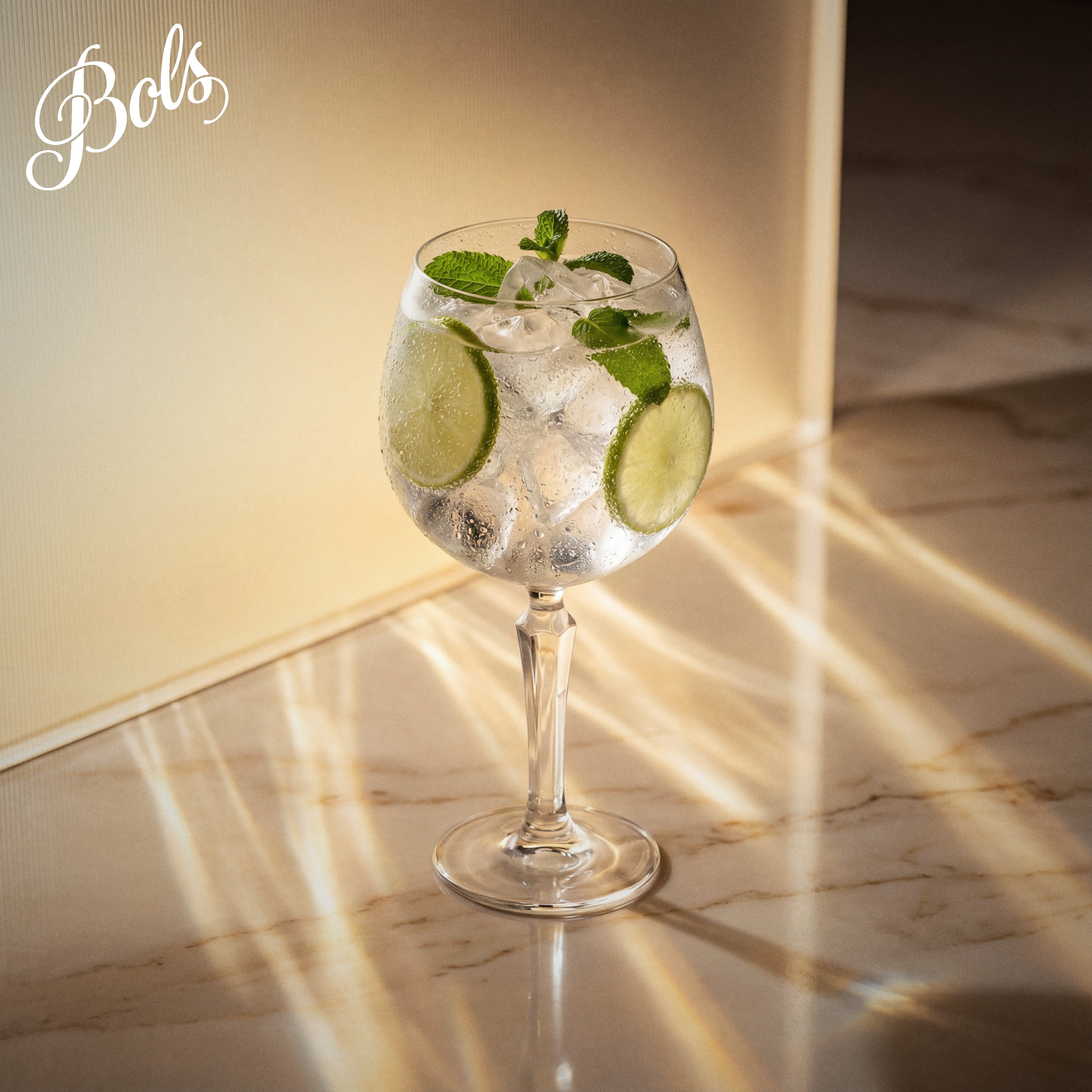 Bols Elderflower