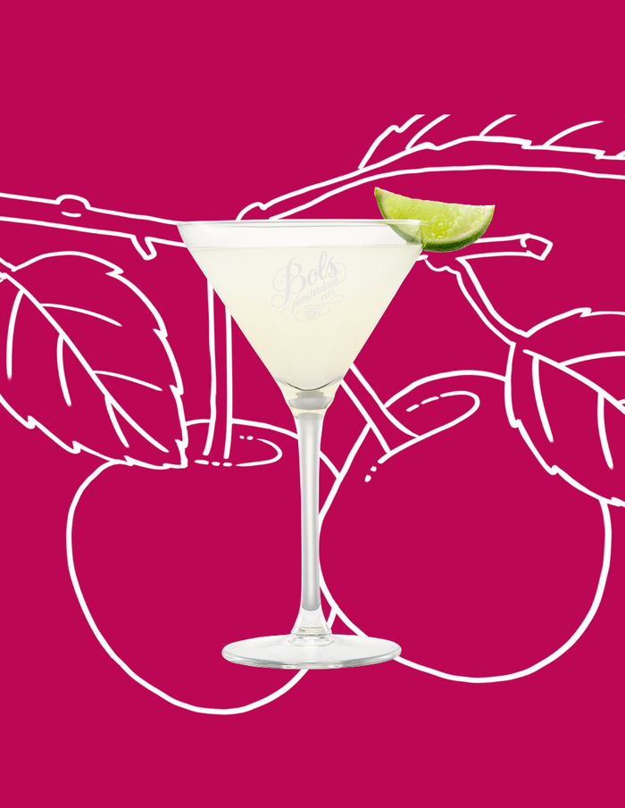 Cherry Daiquiri Cocktail Recipe & Ingredients Bols Cocktails