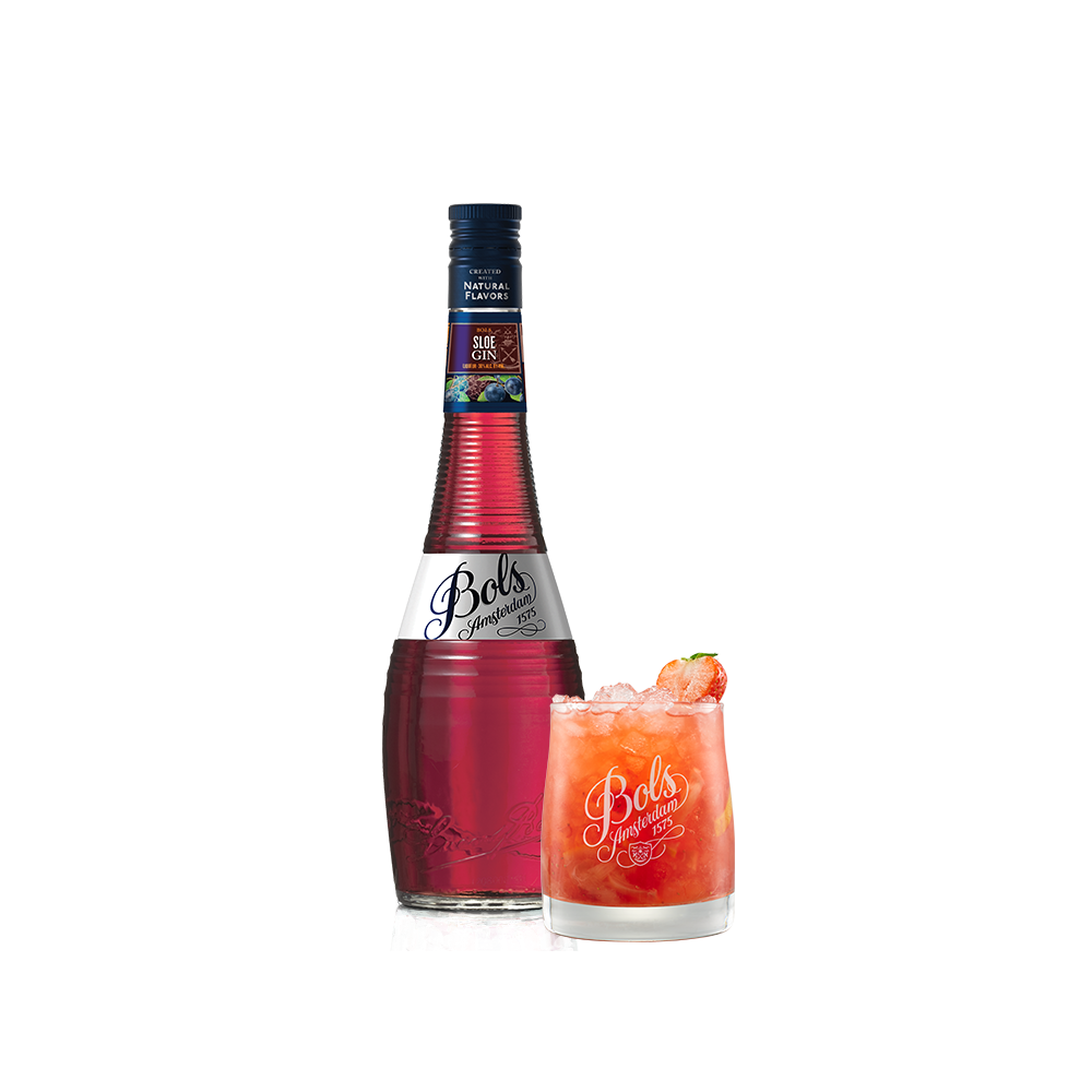Bols Sloe Gin