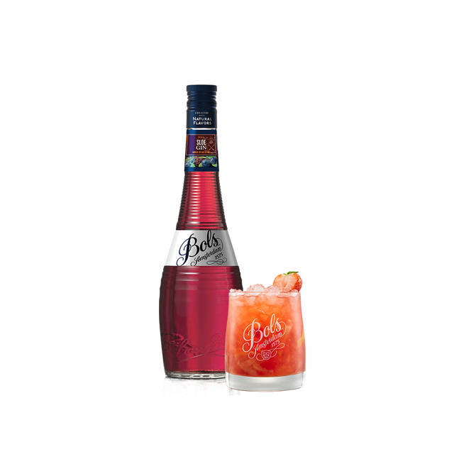Bols Sloe Gin
